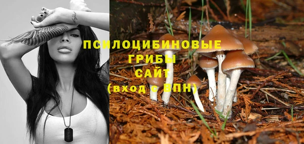 марки lsd Балабаново